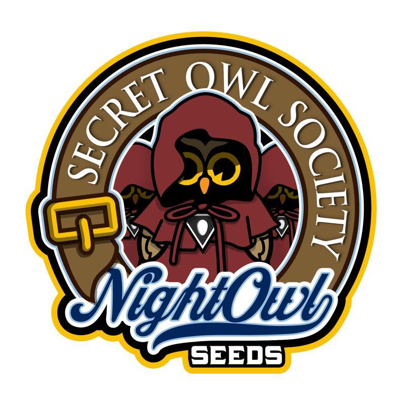 An image of Blue Light Special
